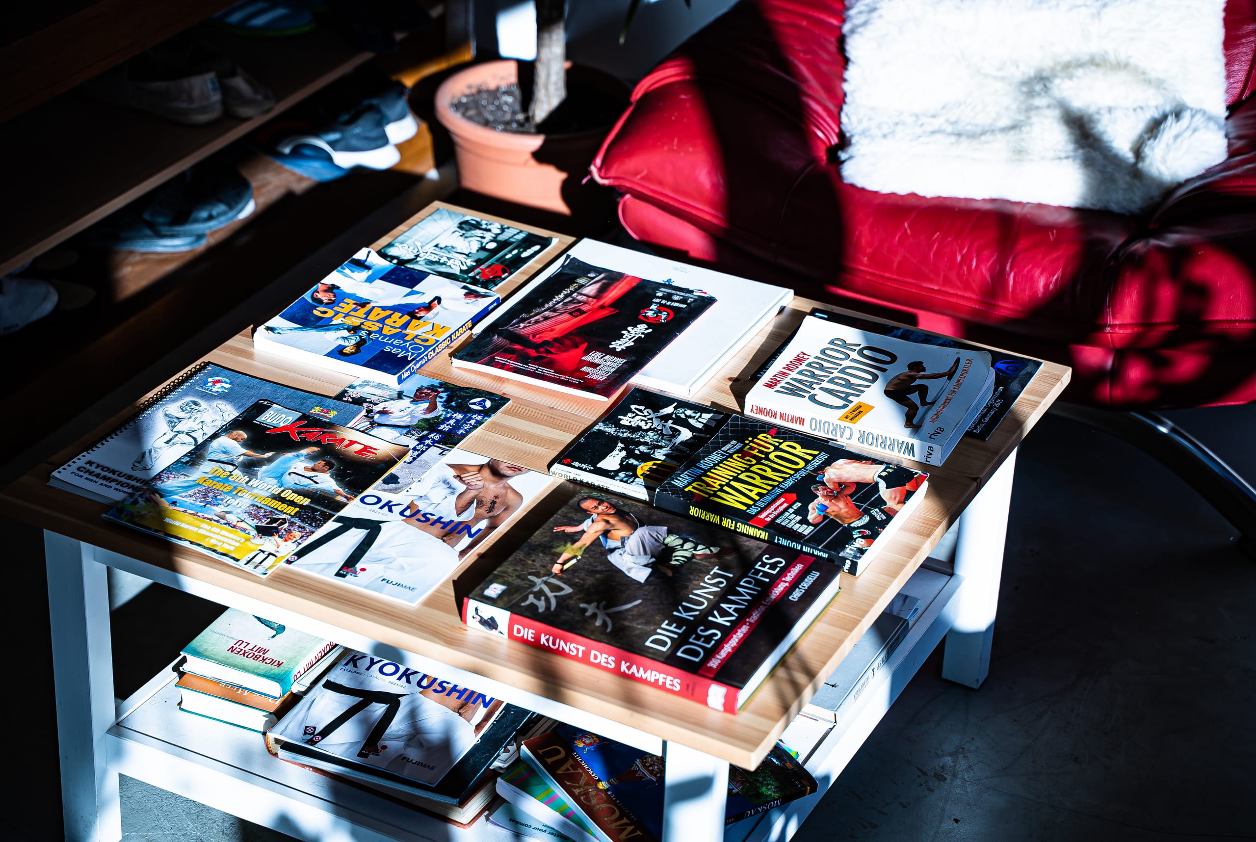 Bücher und Magazine in der Lounge des K.O.DOJO